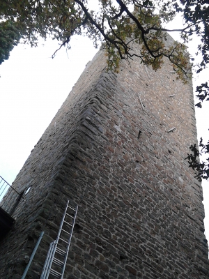 to day Galatrona tower