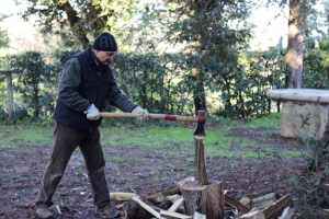 firewood for the winter