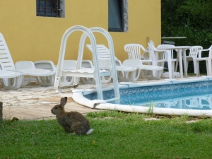 nuovi amici a villa Catola,.. &quot; lillo&quot;