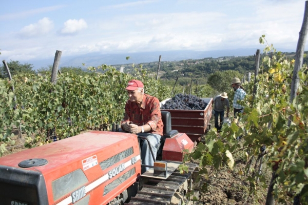 harvest