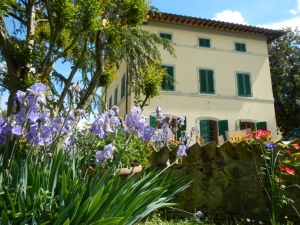 Fiori a villa catola