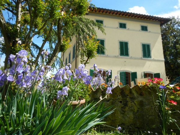 Fiori a villa catola