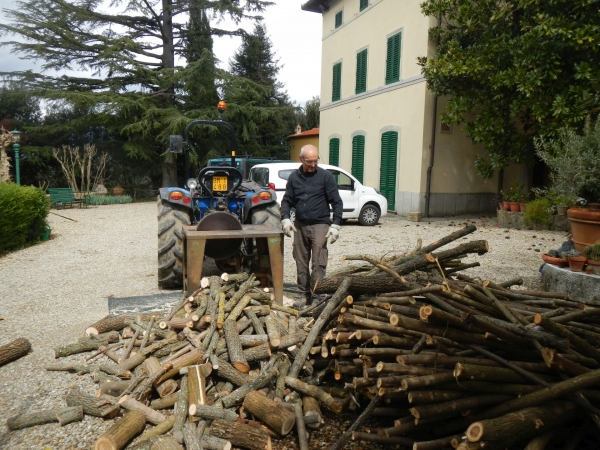 to day ... cutting wood for next year