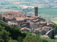  Cortona